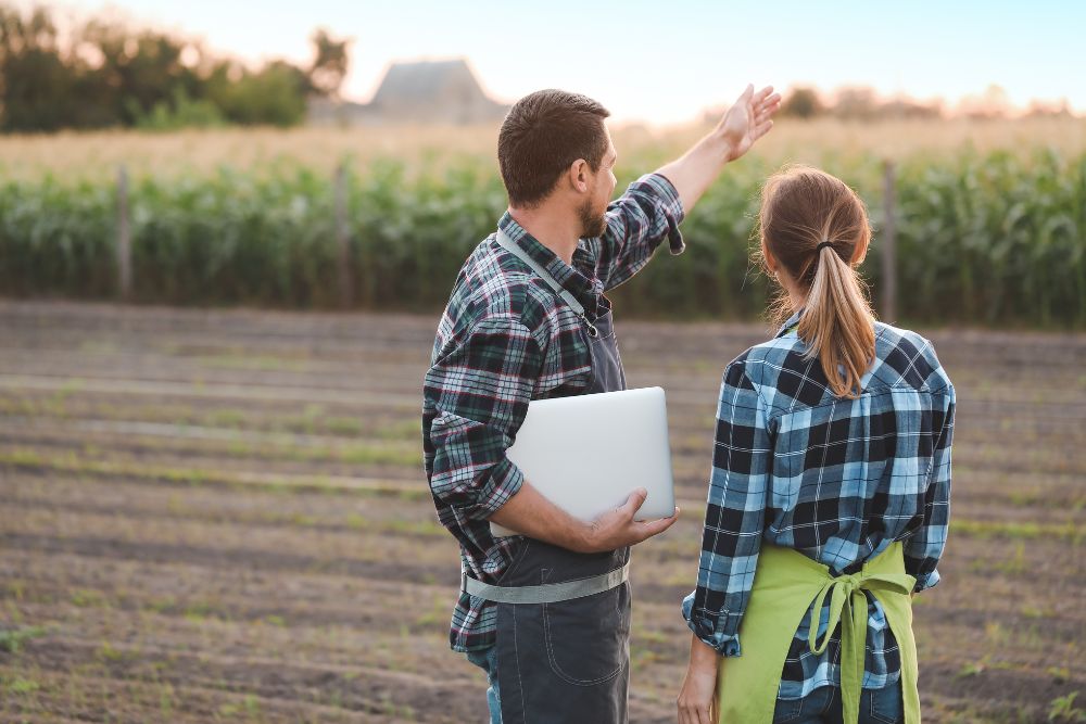 disposizioni urgenti per le imprese agricole