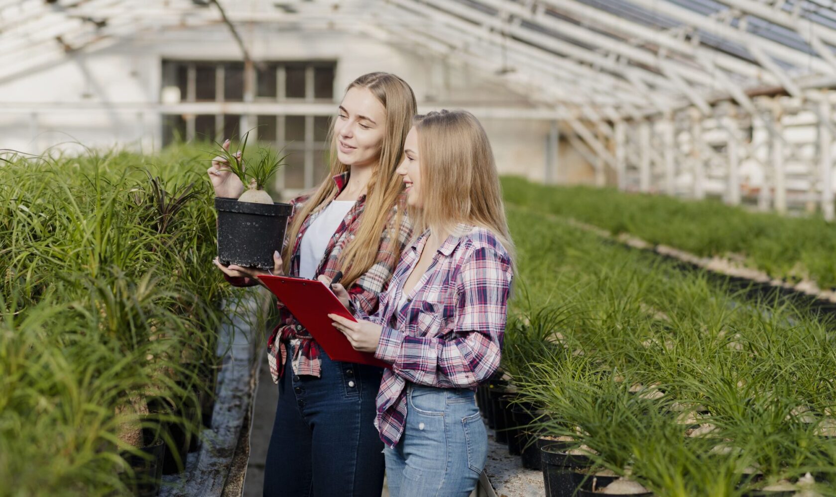 imprenditoria giovanile e femminile agricoltura